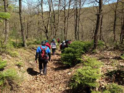 Bolu'da Doğa Yürüyüşü